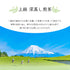 粗加工高級深蒸煎茶 100g Shincha 2023